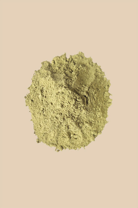 Spiced Balance Matcha 25gr yakın çekim - Chappal